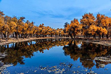 剧情驱动3D冒险游戏《Inner Truth》Steam页面 年内发售